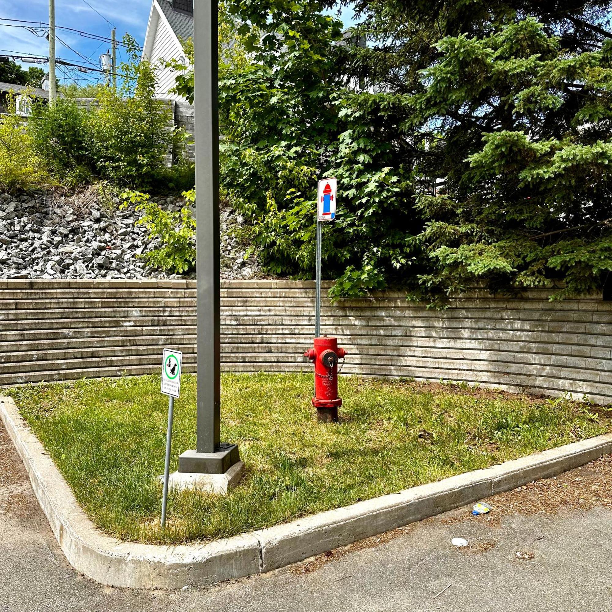 Initial - Road Trip - Chutes-Montmorency - Vue Fleuve Saint-Jean-de-Boischâtel 외부 사진